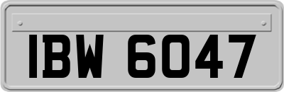 IBW6047