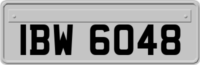 IBW6048