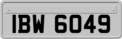 IBW6049