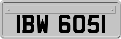 IBW6051