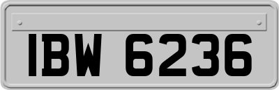 IBW6236