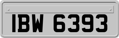 IBW6393