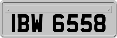 IBW6558