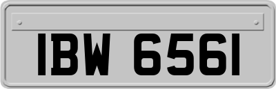 IBW6561