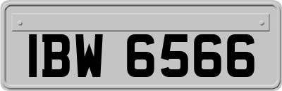 IBW6566