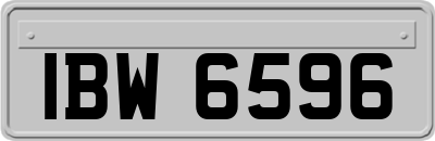 IBW6596
