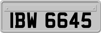 IBW6645