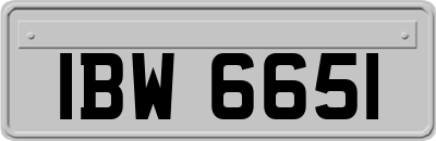 IBW6651