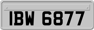 IBW6877