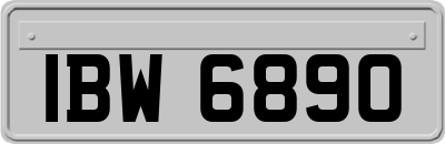 IBW6890
