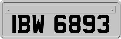 IBW6893