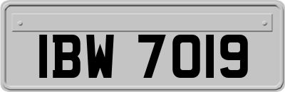 IBW7019