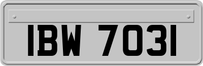 IBW7031