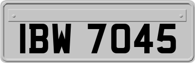 IBW7045