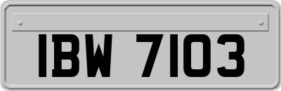 IBW7103