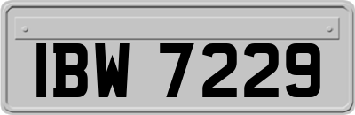 IBW7229
