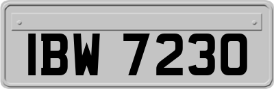 IBW7230