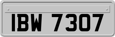 IBW7307