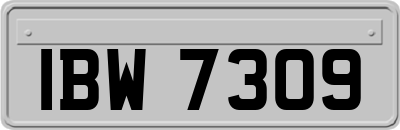 IBW7309