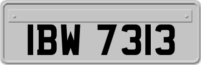 IBW7313