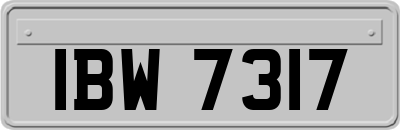 IBW7317
