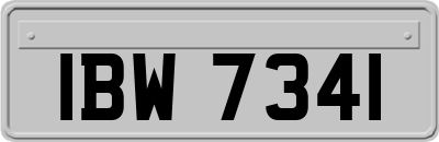 IBW7341