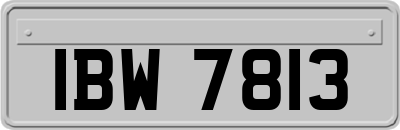 IBW7813