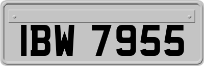 IBW7955