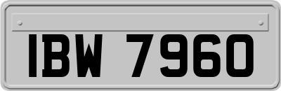 IBW7960