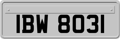 IBW8031