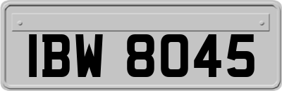 IBW8045