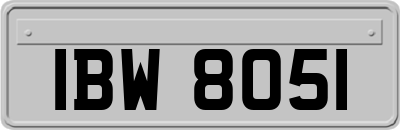 IBW8051