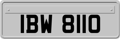 IBW8110