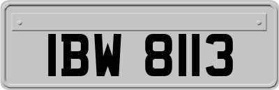 IBW8113