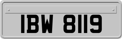 IBW8119