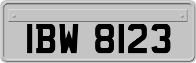 IBW8123