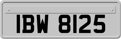 IBW8125