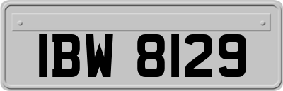 IBW8129