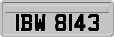 IBW8143
