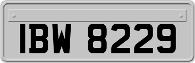 IBW8229