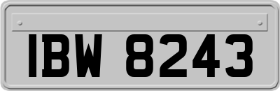 IBW8243