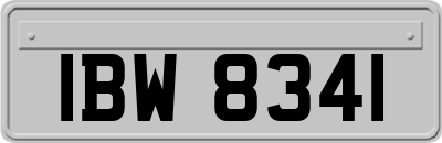 IBW8341