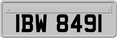 IBW8491