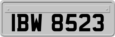 IBW8523