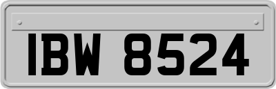 IBW8524