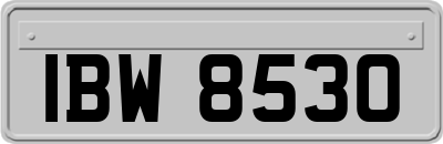 IBW8530