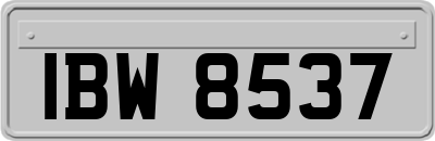 IBW8537