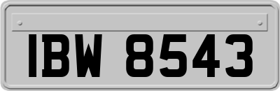 IBW8543