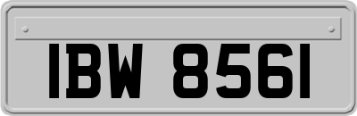 IBW8561