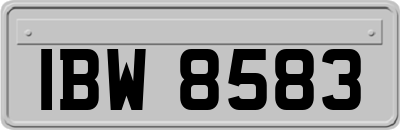 IBW8583
